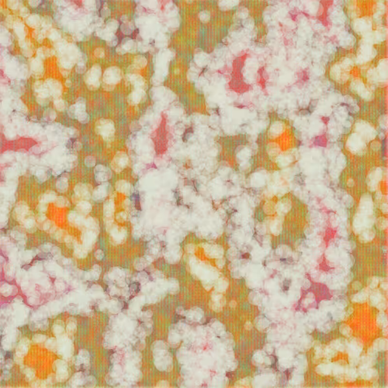 Petri 1500 #1065
