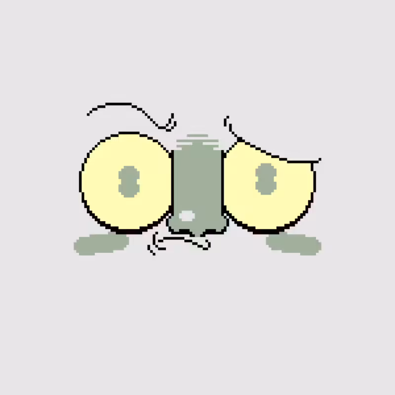 Box Face #19