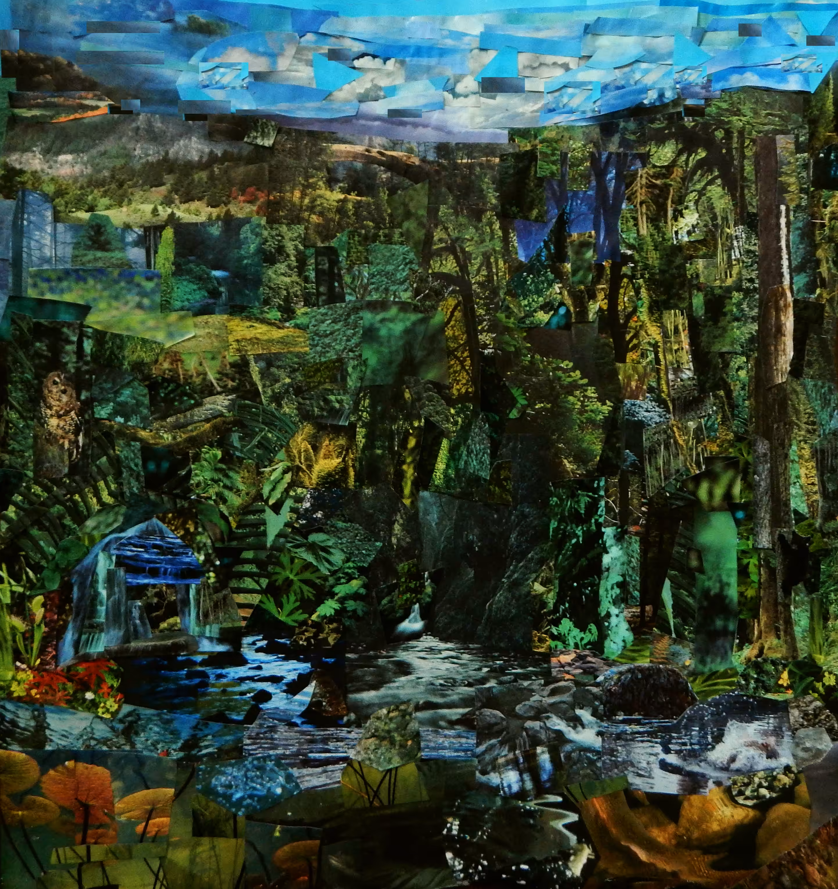 Dark Dream Forest