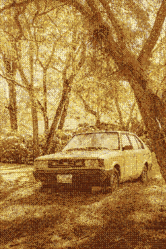 Abandonado