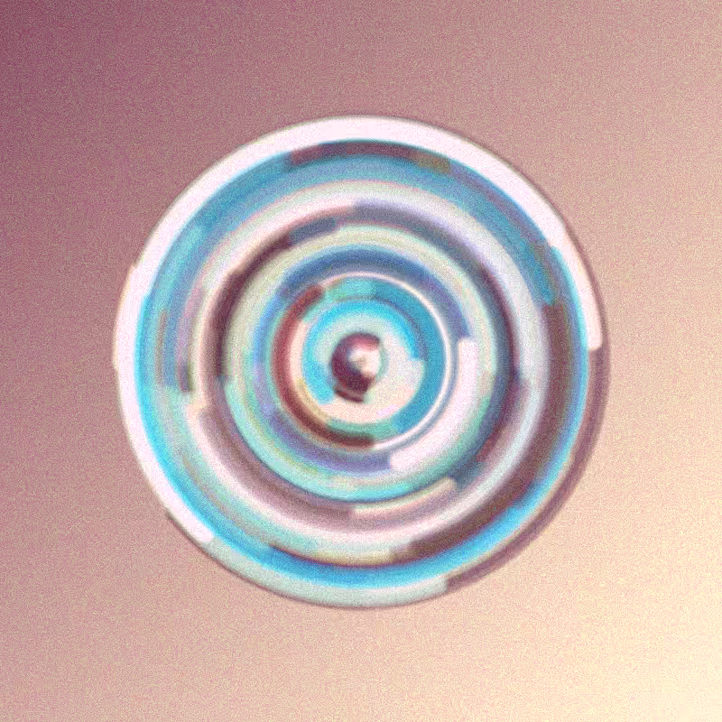 Wisp #906