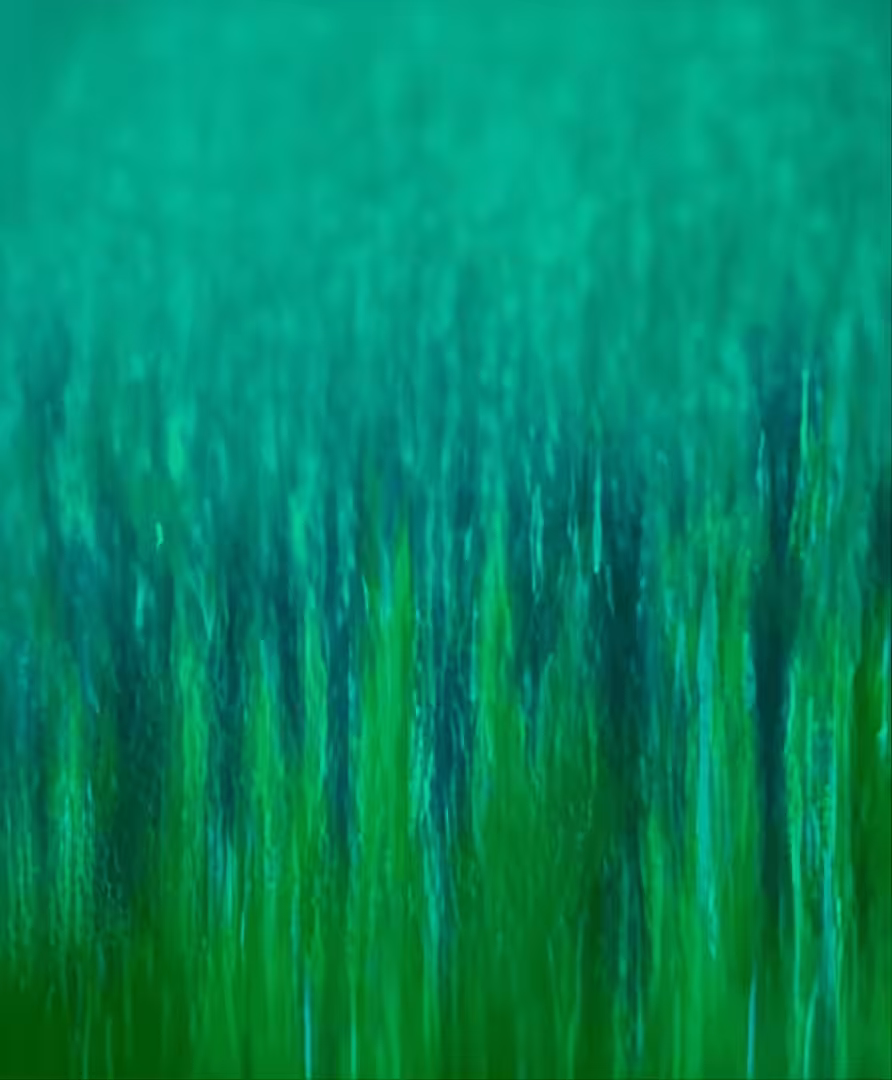 The walking of bodies on the changing climate: Extinction of Silent Images