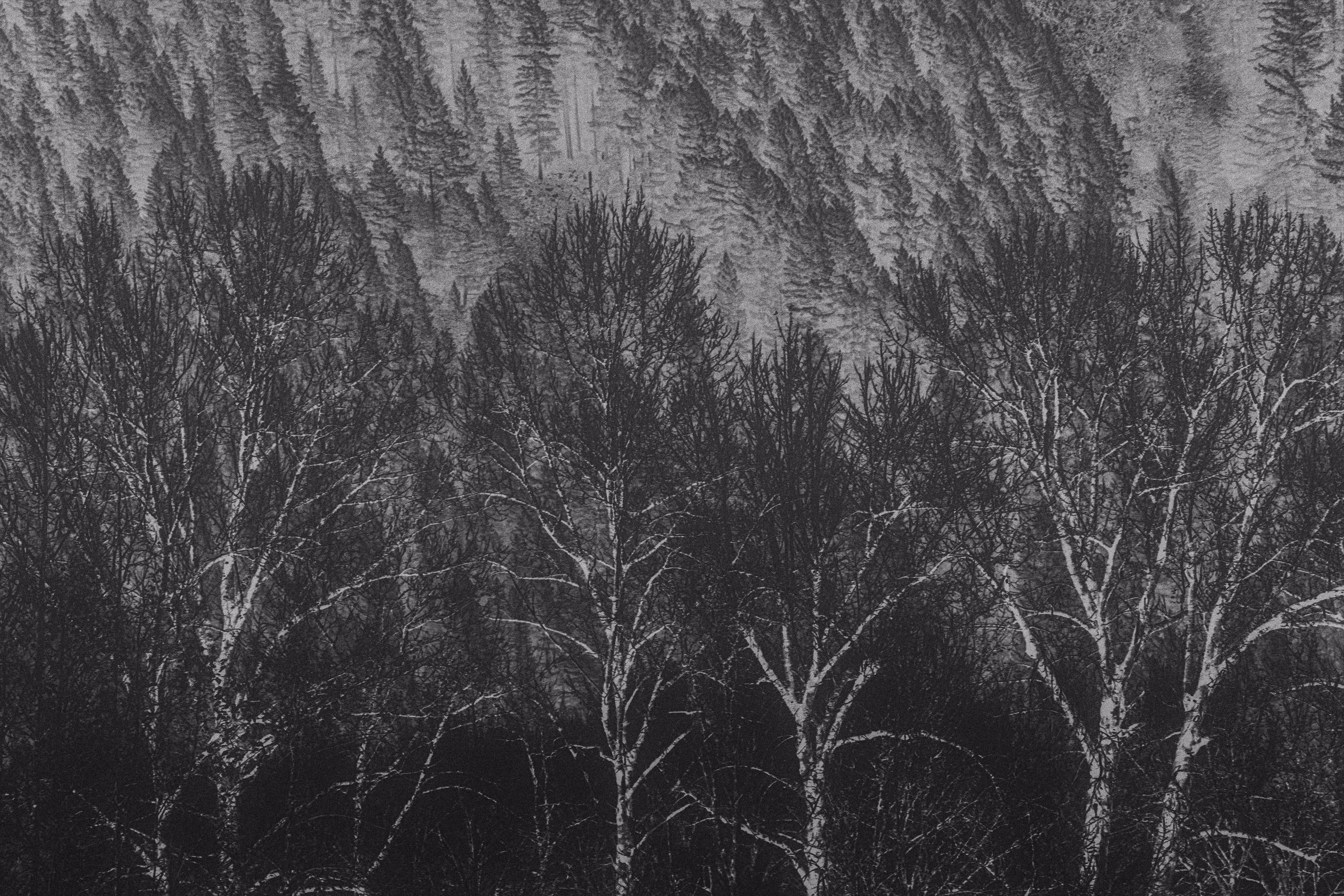 The Gothic Side Of Nature: Grimland Whispers