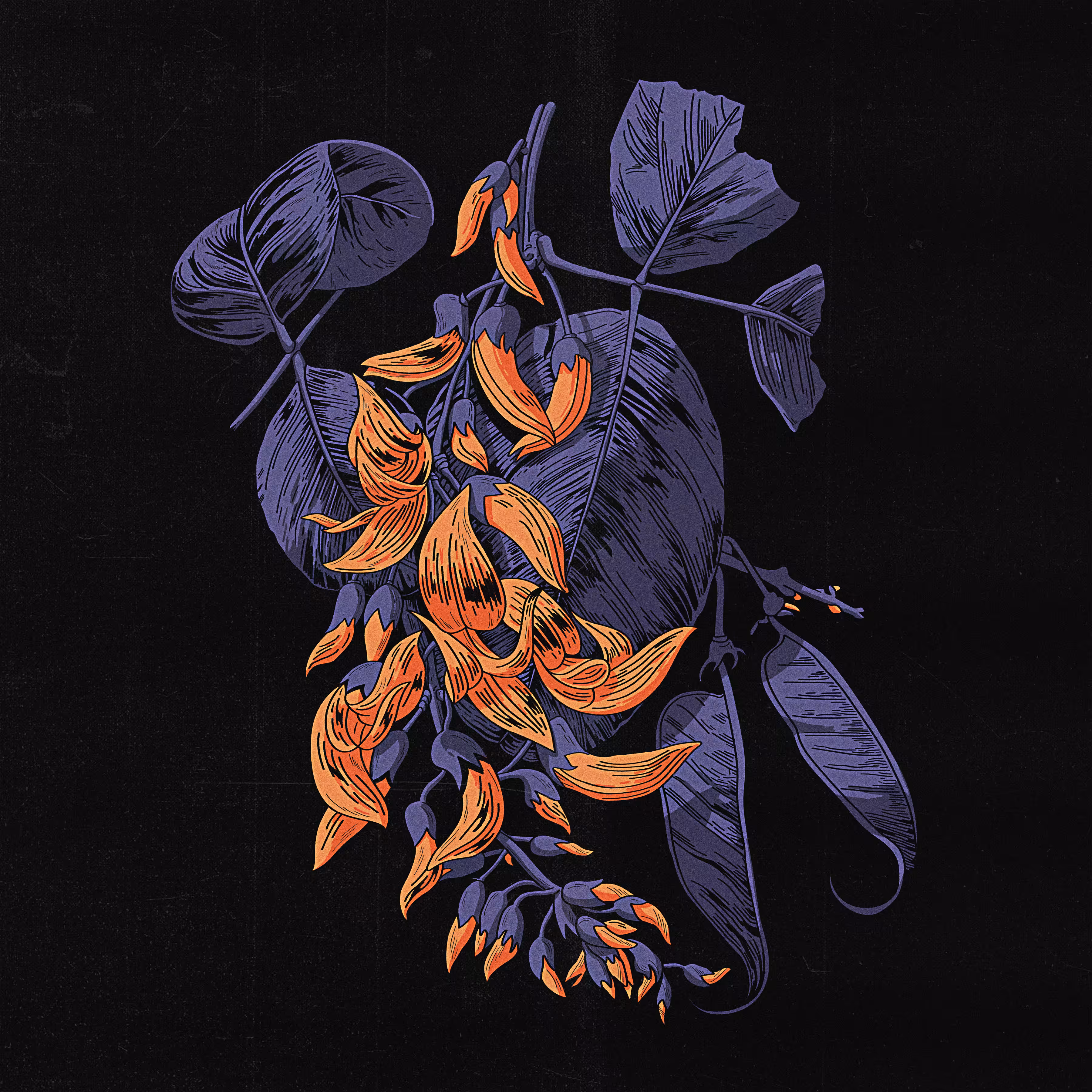 Jwala - Flame of the Forest