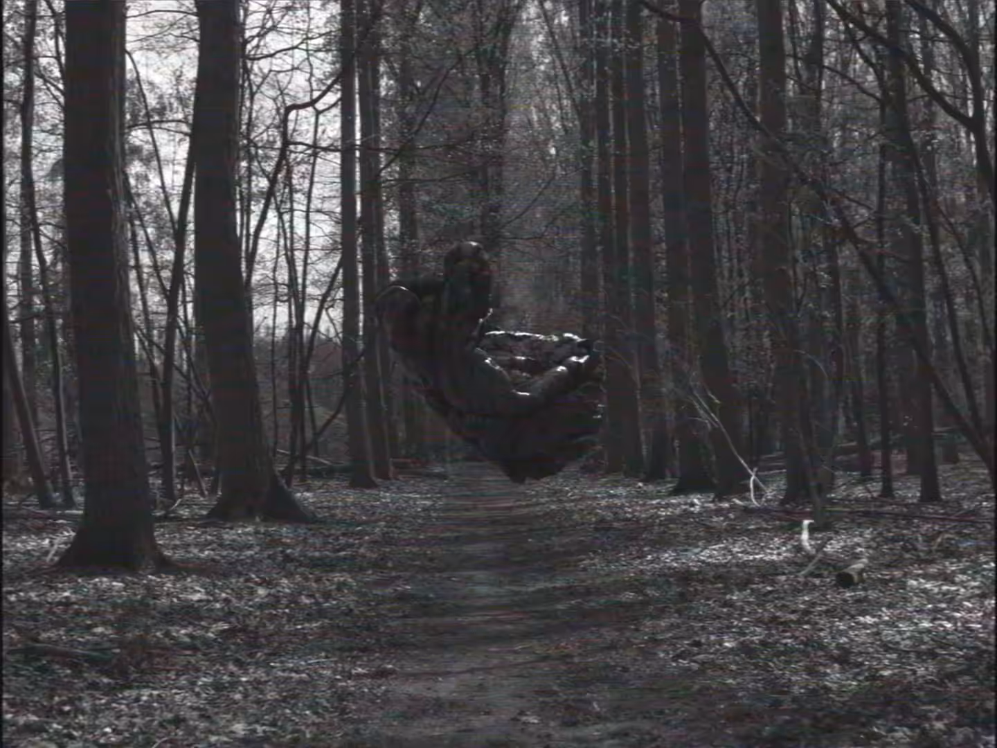a_walk_in_the_woods_bootleg.mp4