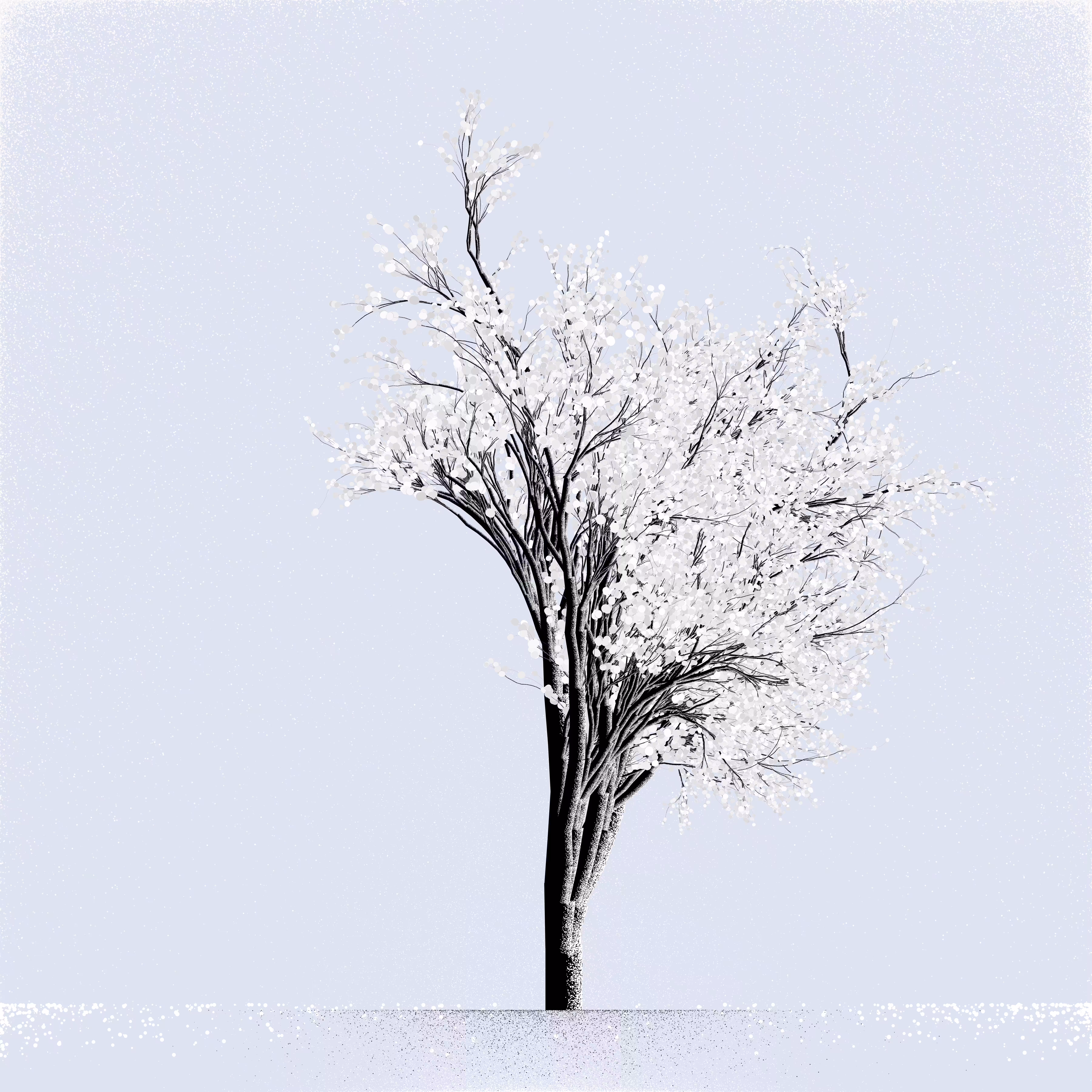 Snow Tree #36