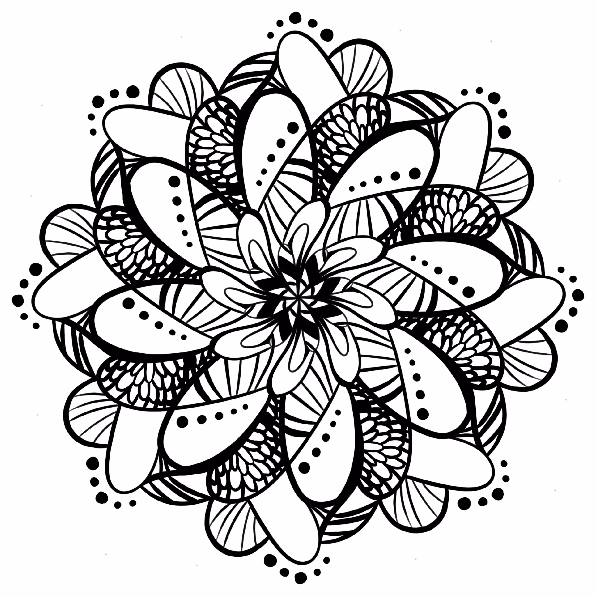 3.Details