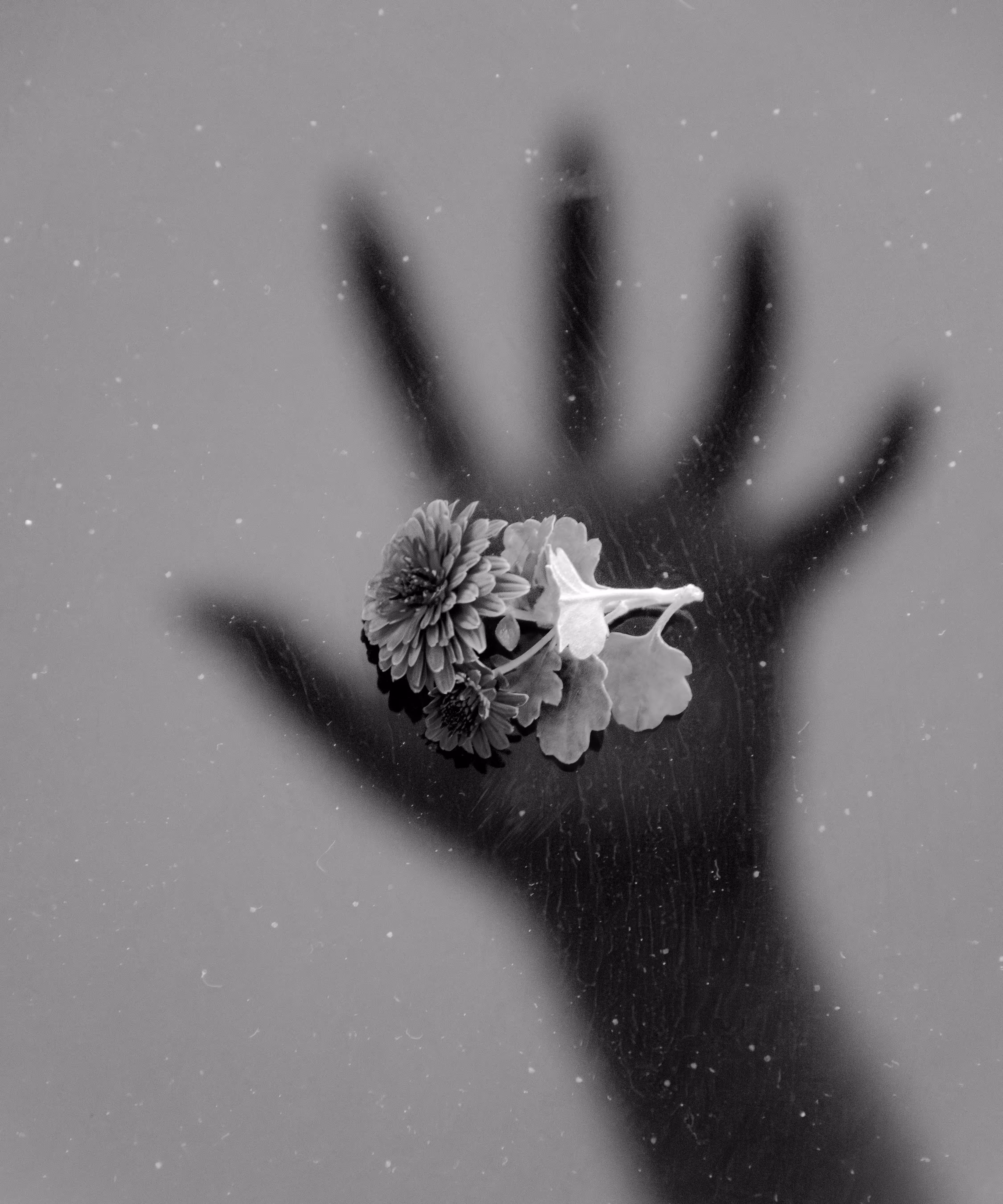 The Deep End