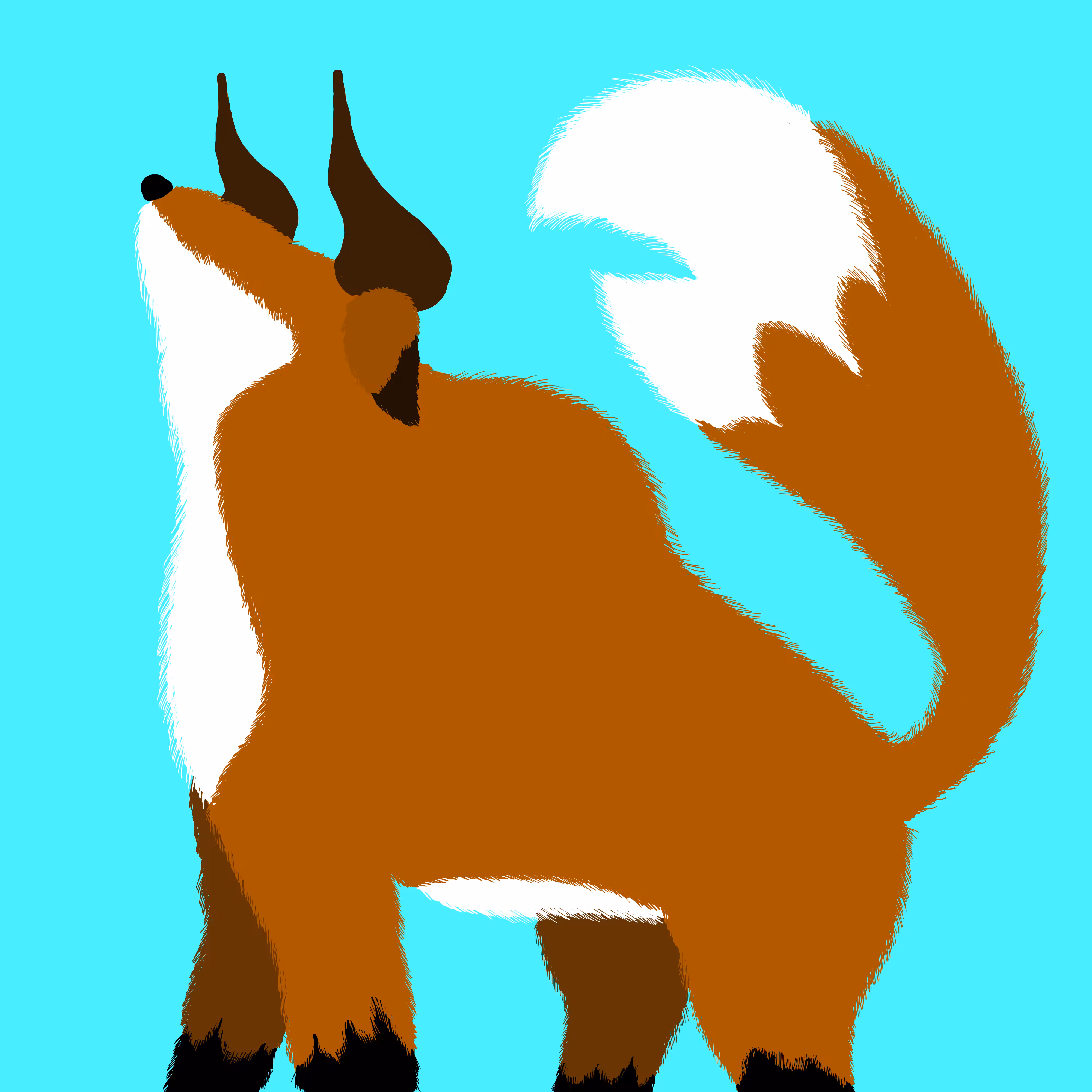 オックスフォックス Ox Fox