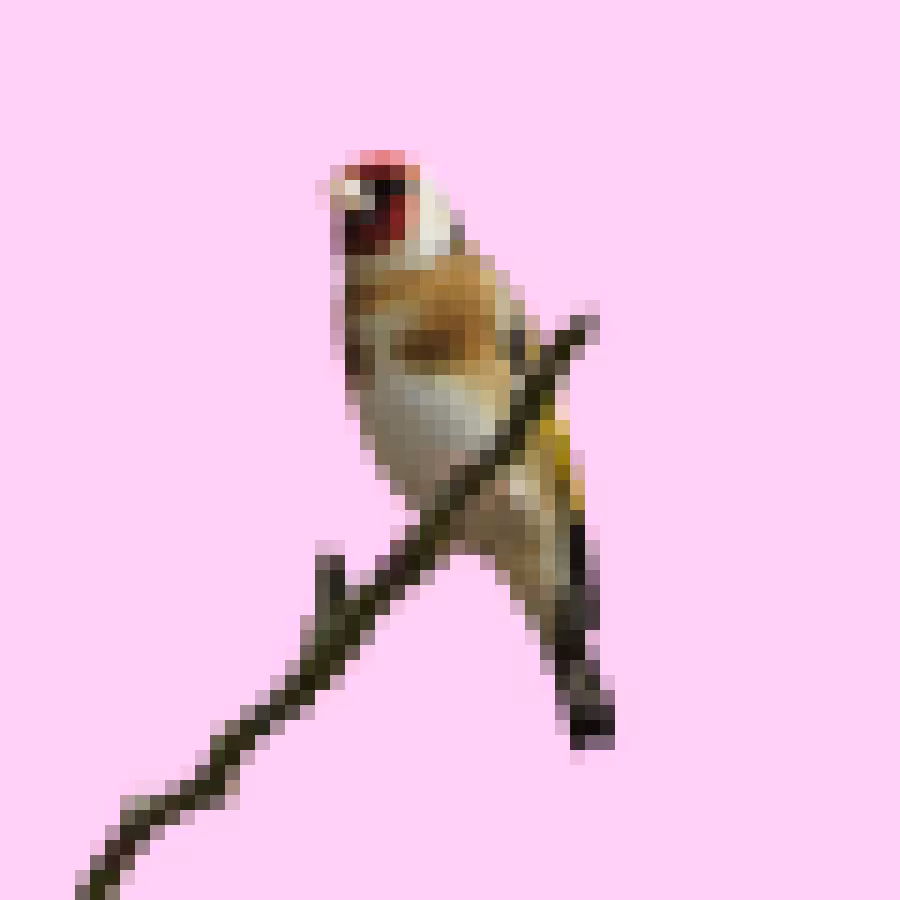 PixlBird #017