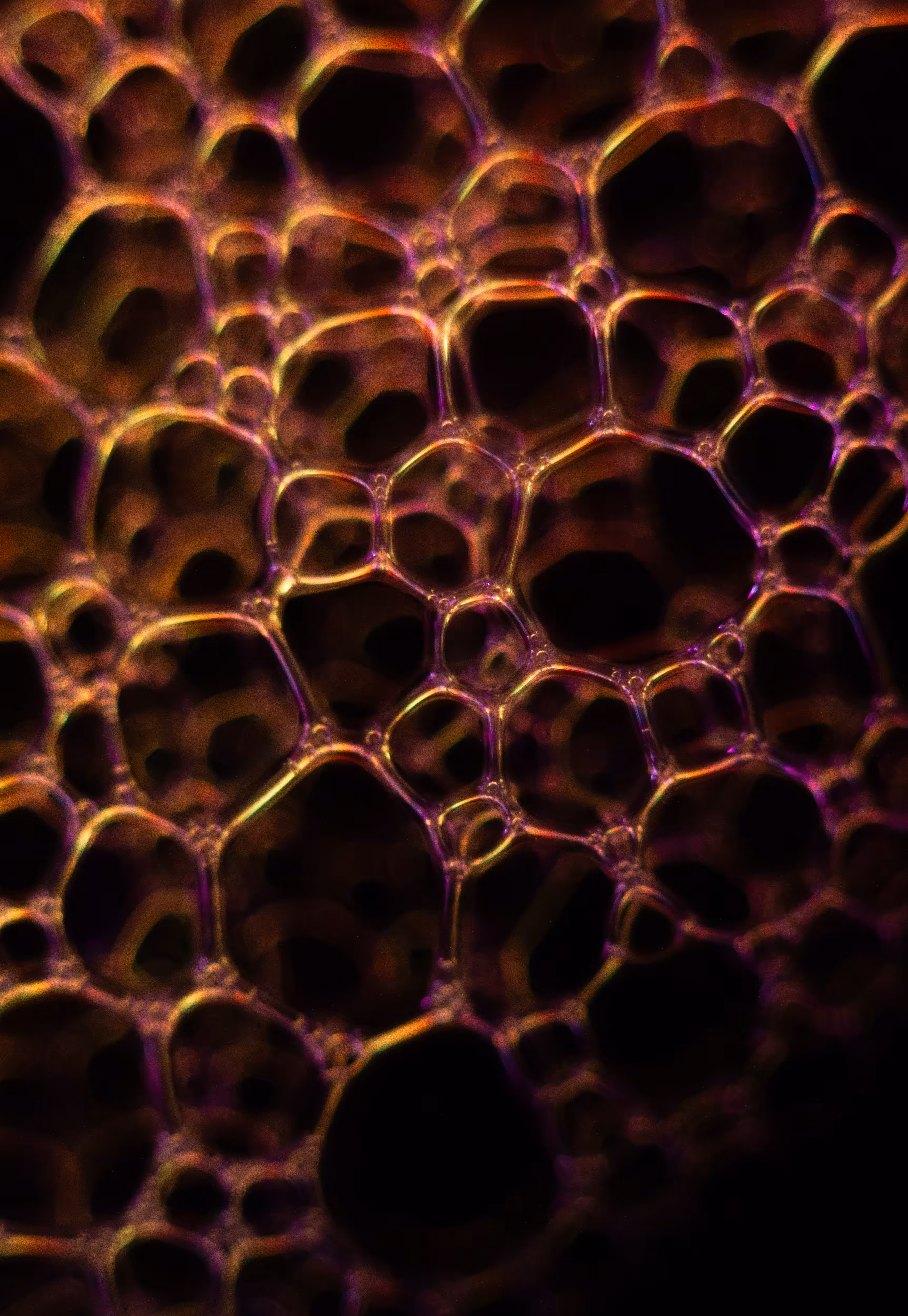 #113 Bubbles