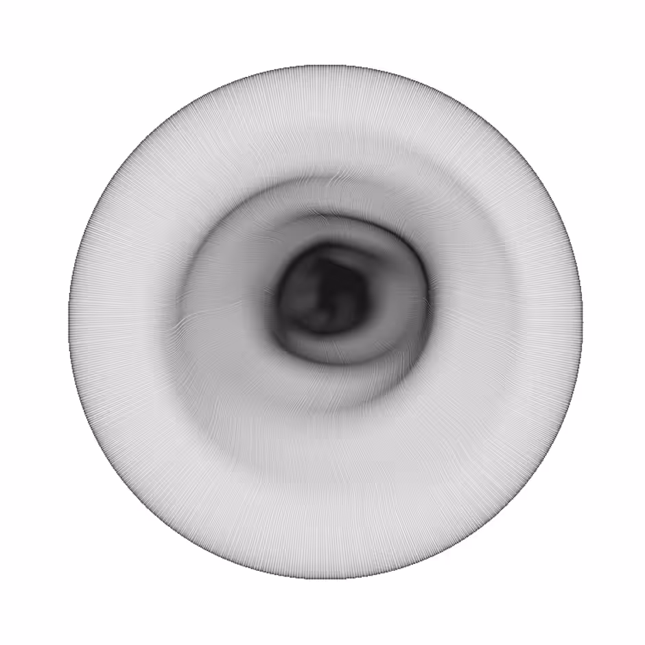 Umbilicus 09120705
