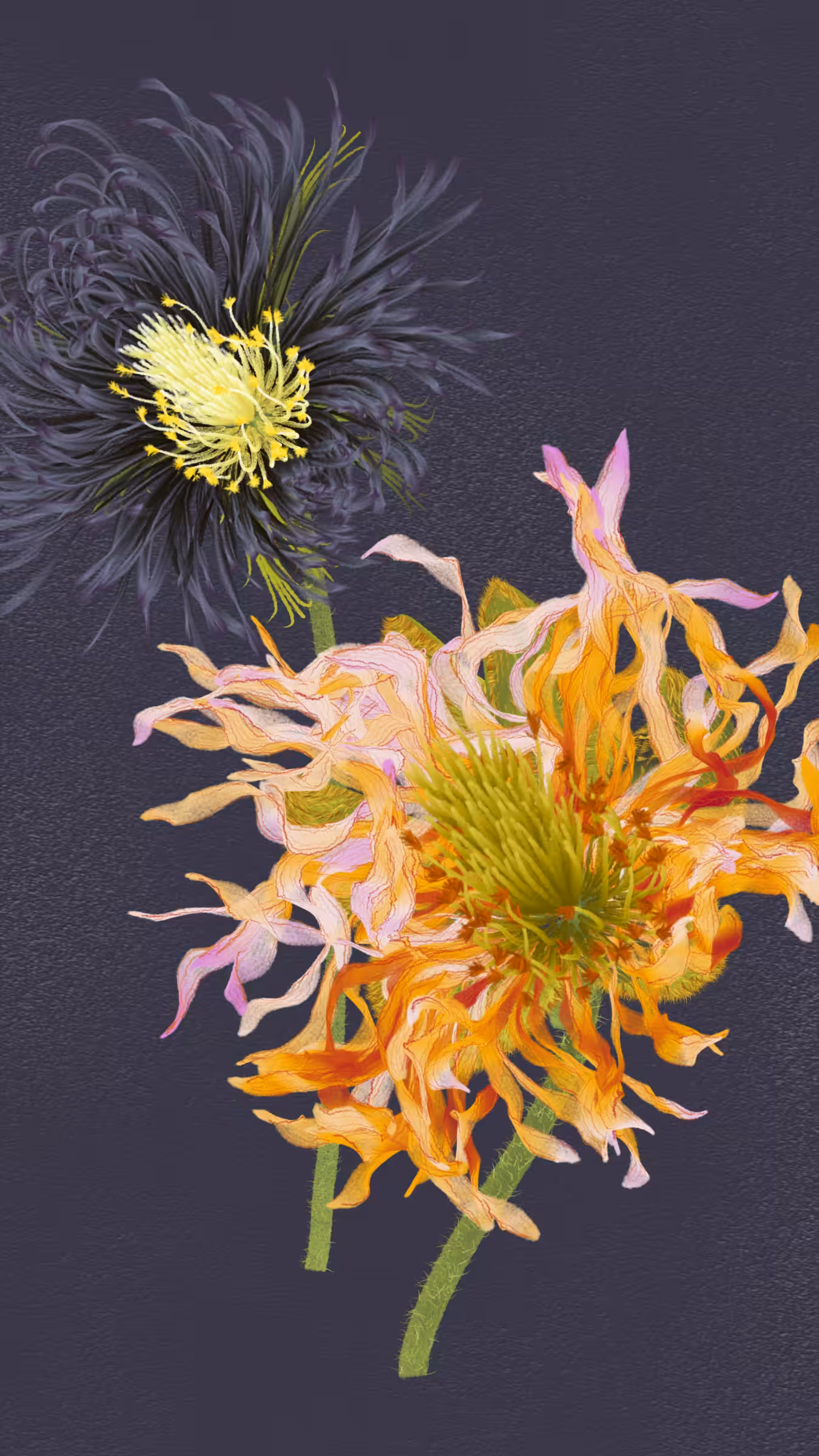 Delirium Blooms #25