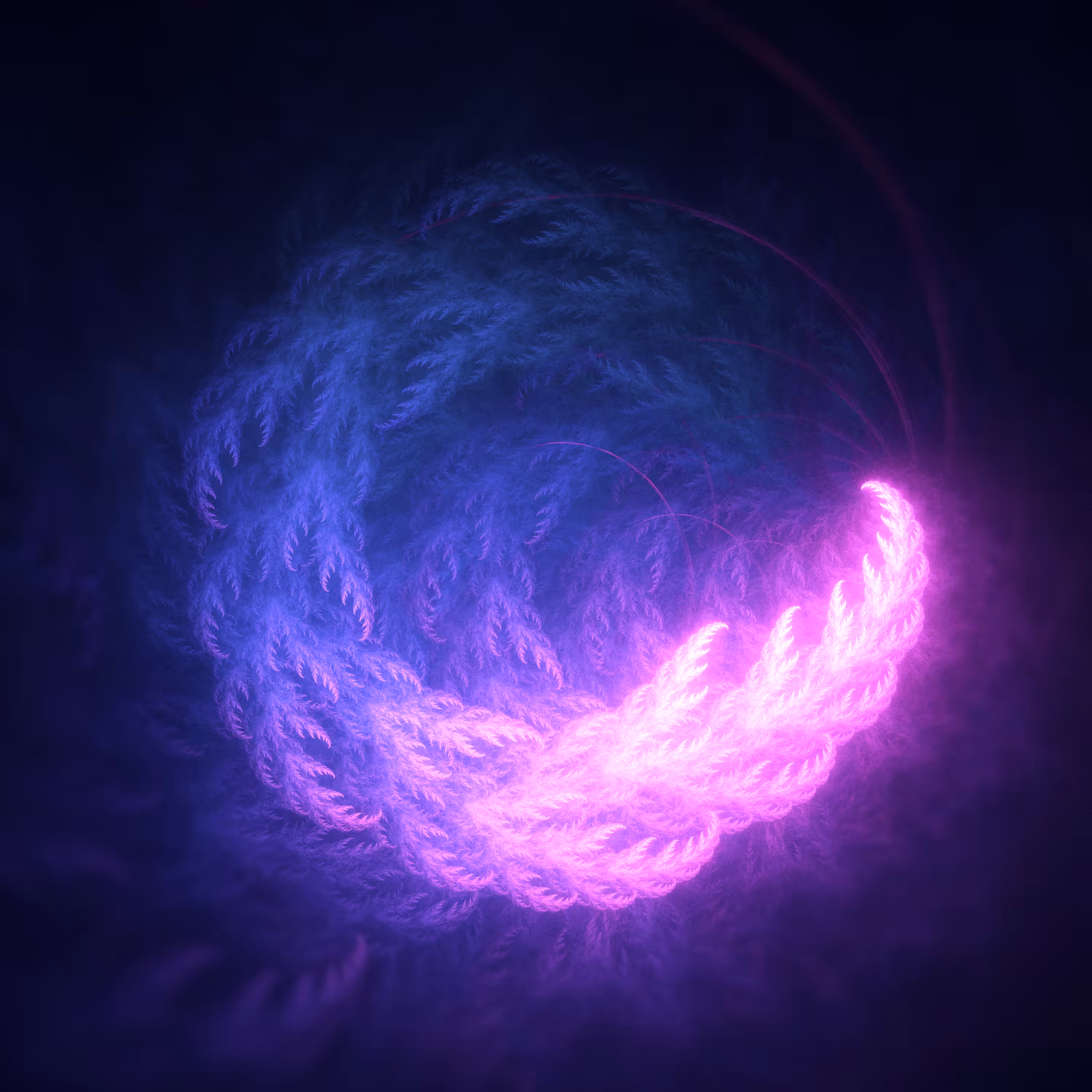 Fractal Anarchy \\ Series 001 \\ Fractal 003
