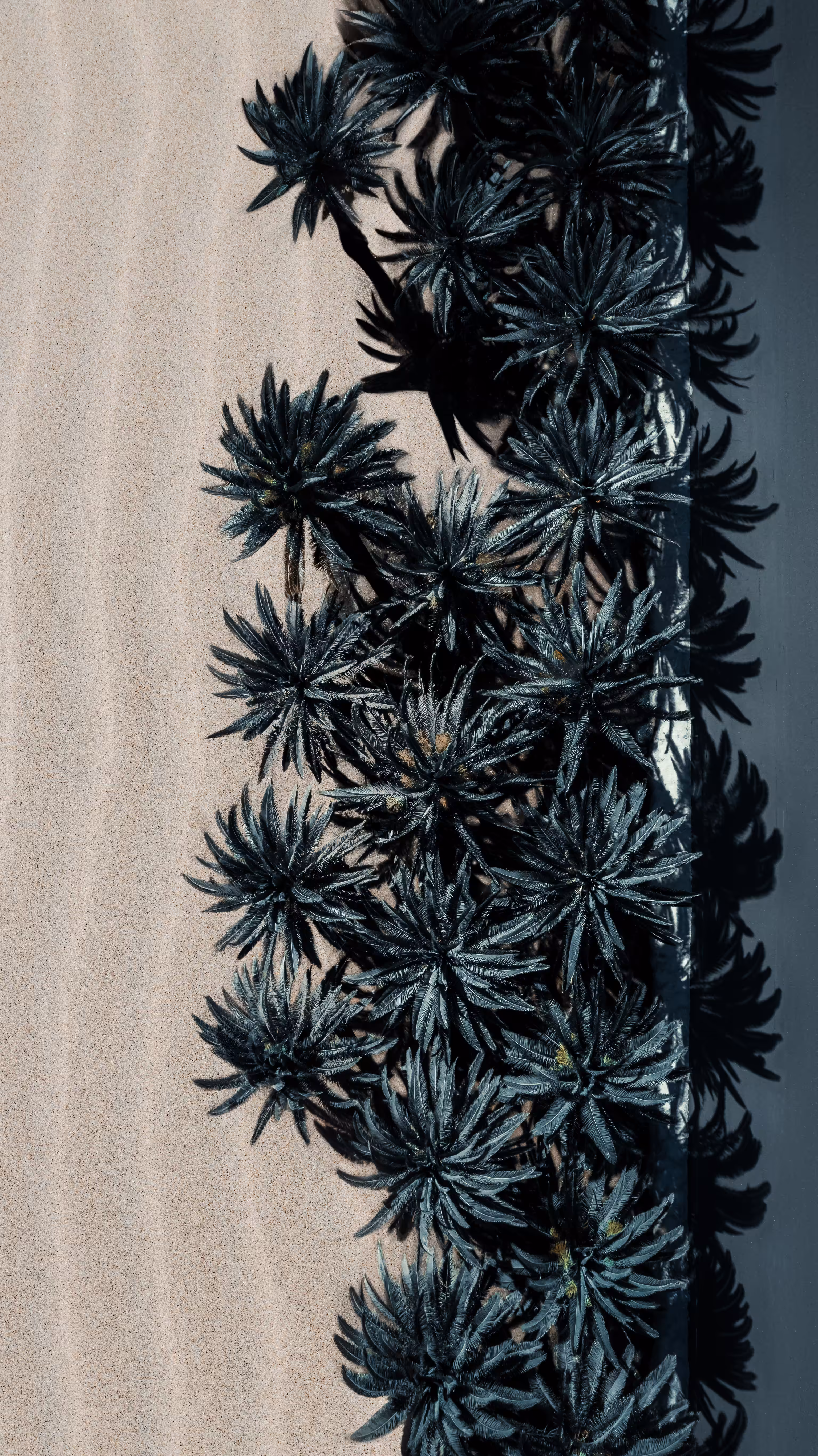 Gems of Lanzarote