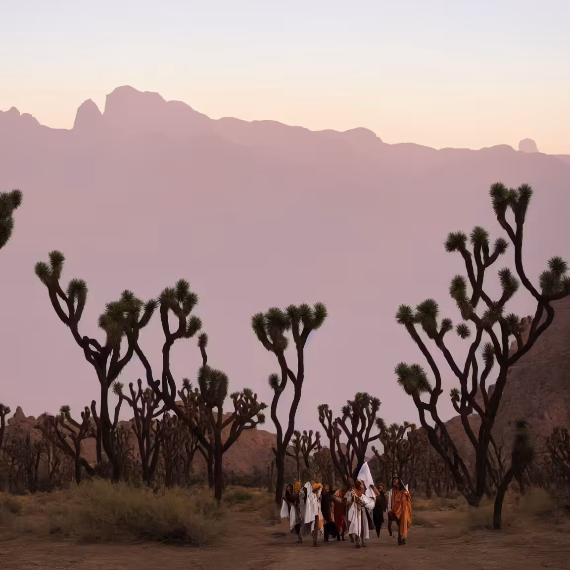 Desert Pilgrimage #14