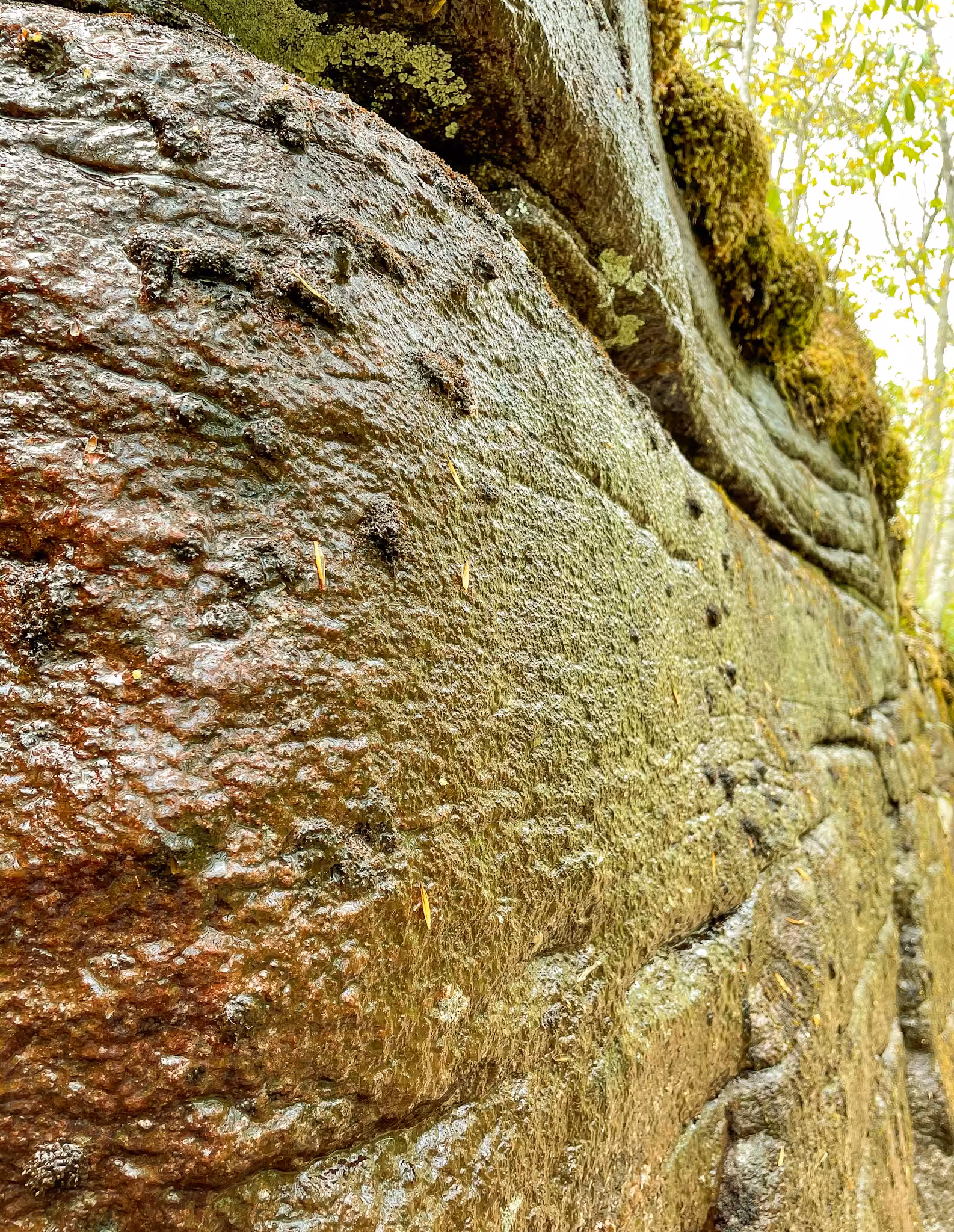 a rock 