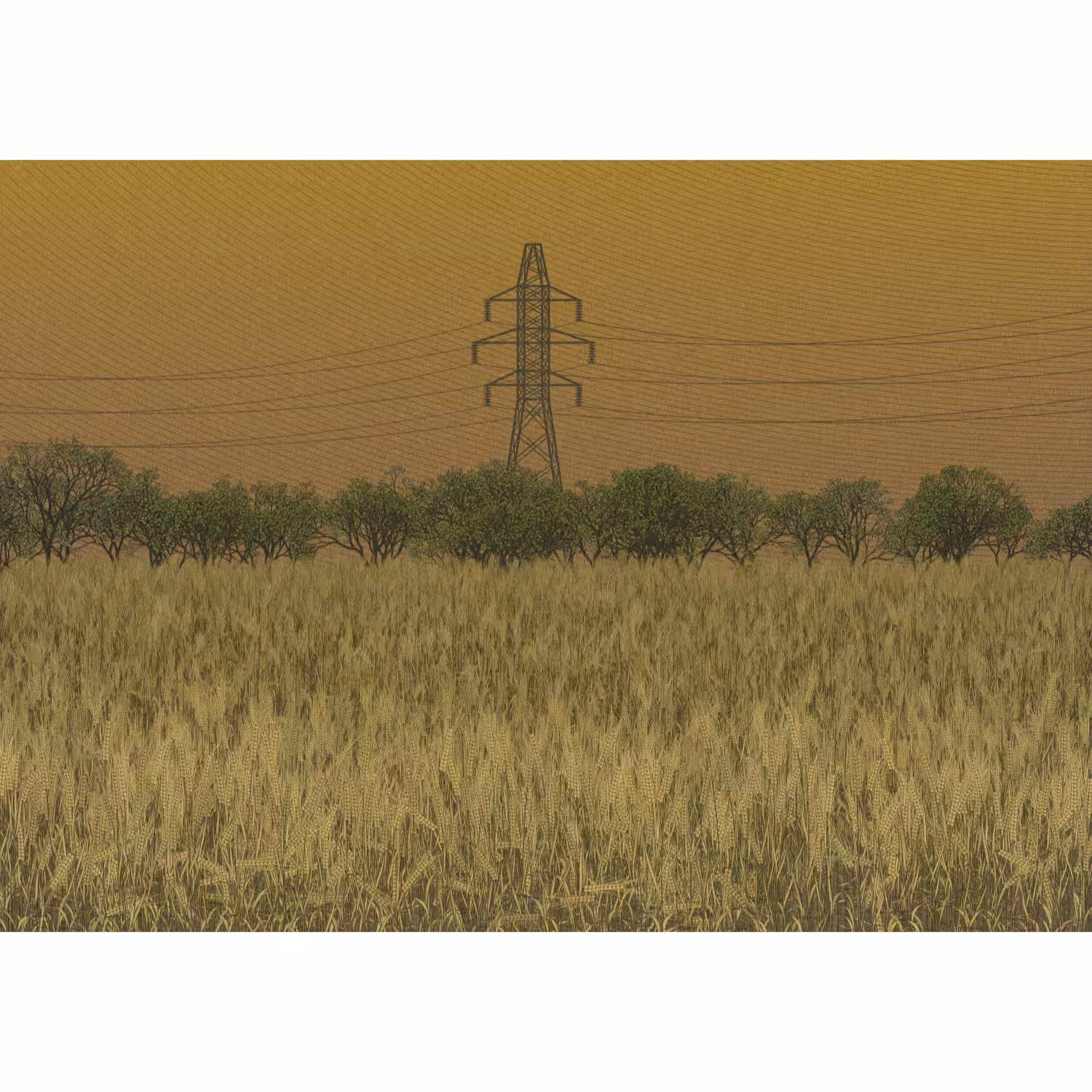 Fields of the Abandoned Homeland #61