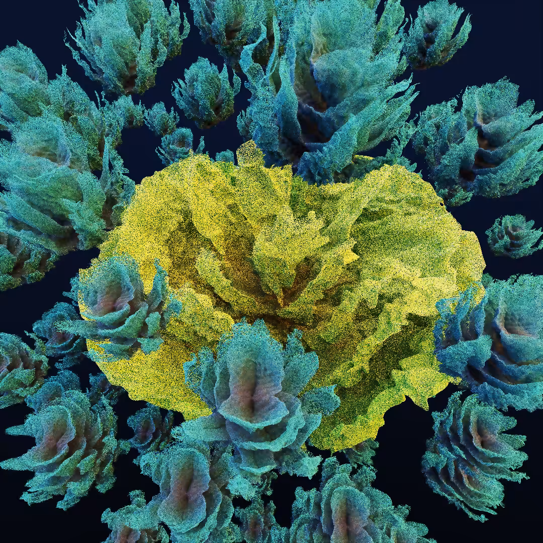rosarium #57