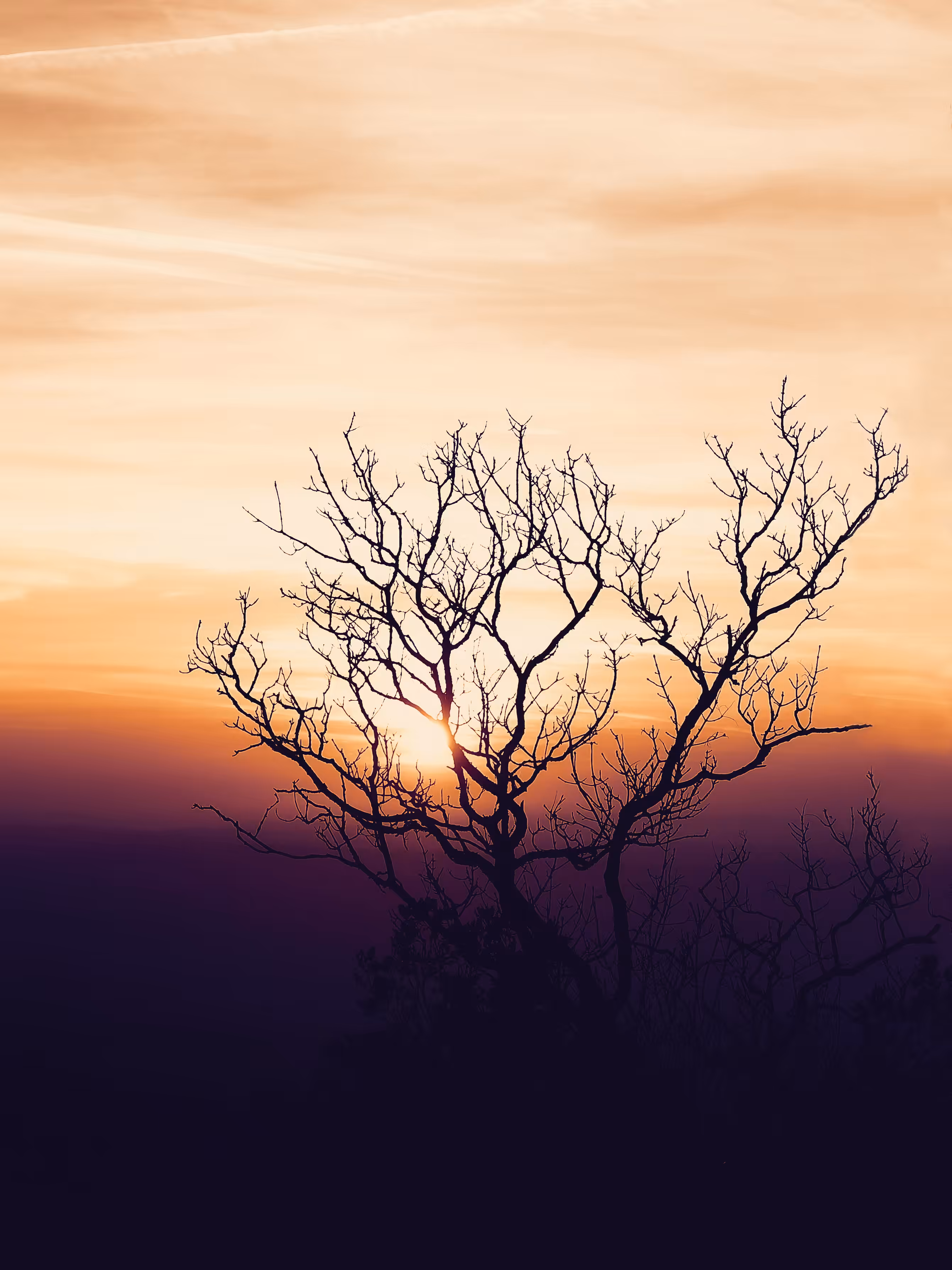 In Twilight's Embrace