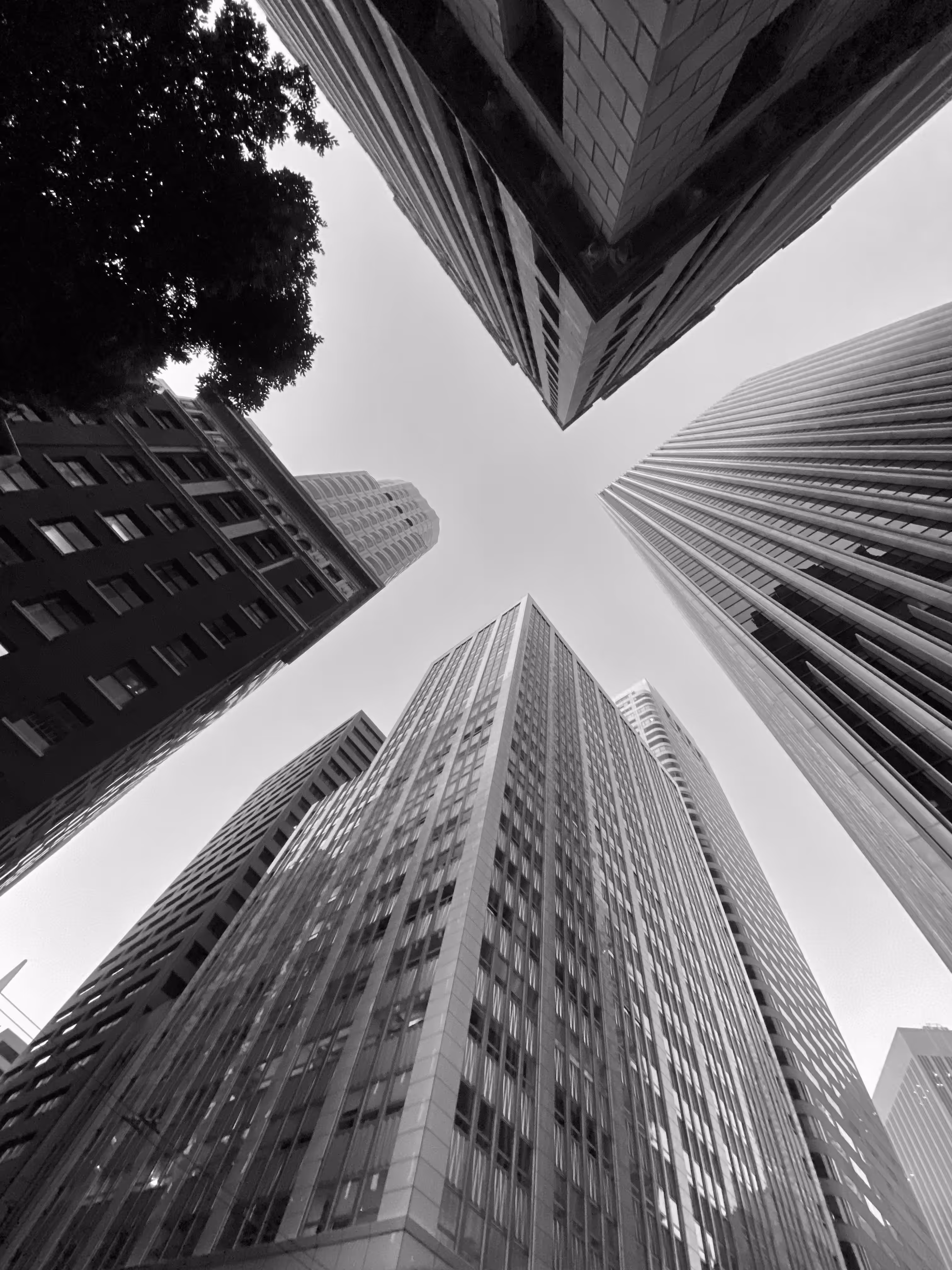 Look Up