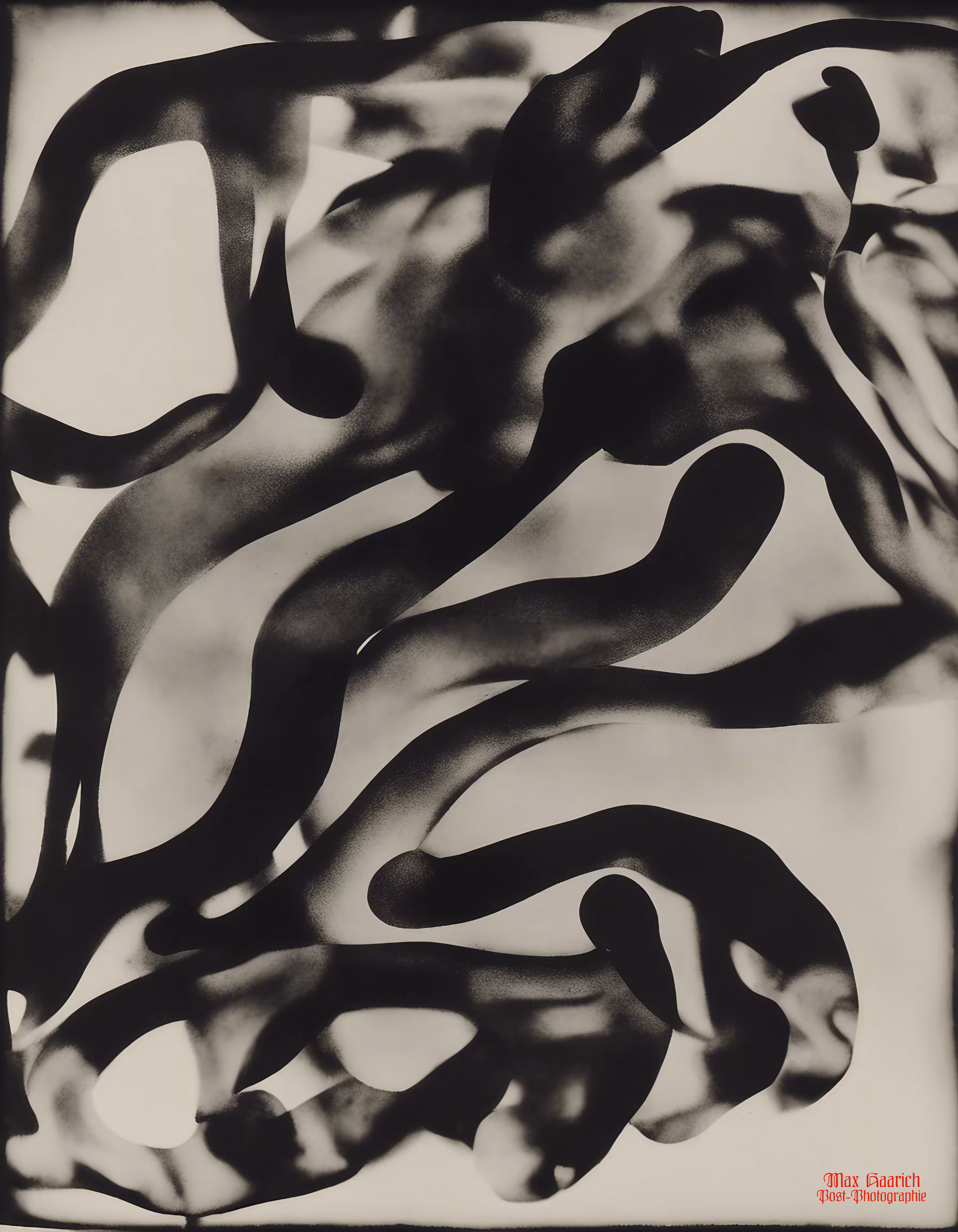 Paradox Post-Photography Archive #361