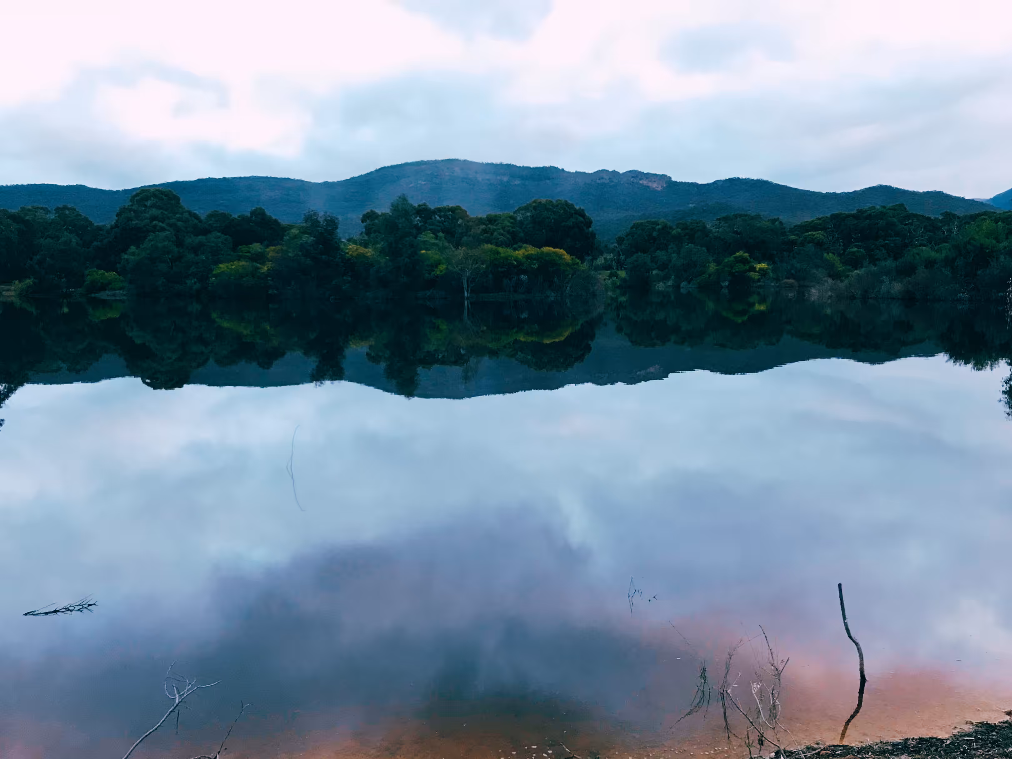 15. Nature's Mirror
