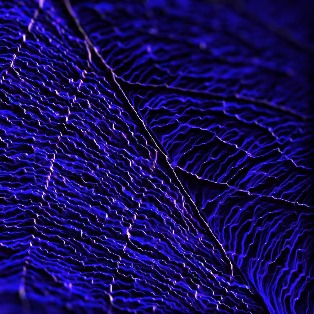 LEAF A DIGITAL