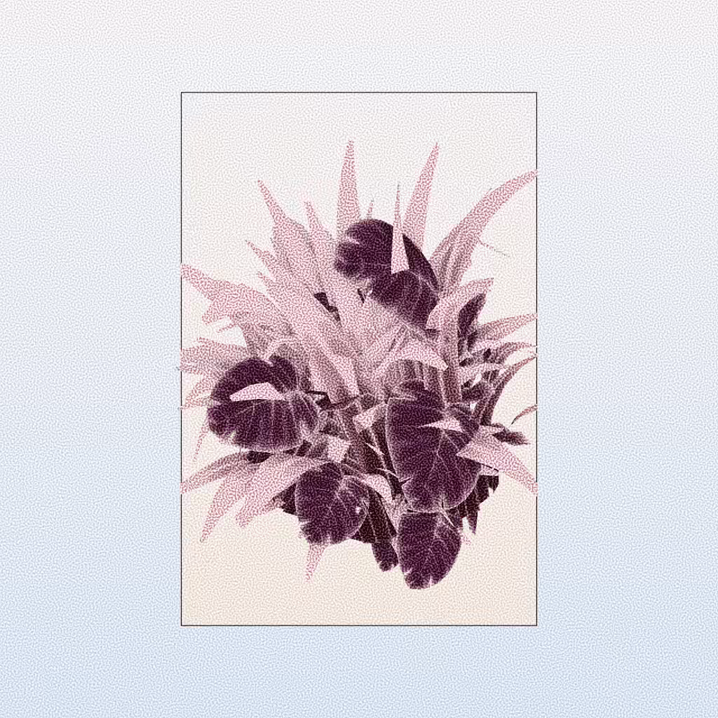 Botany #124