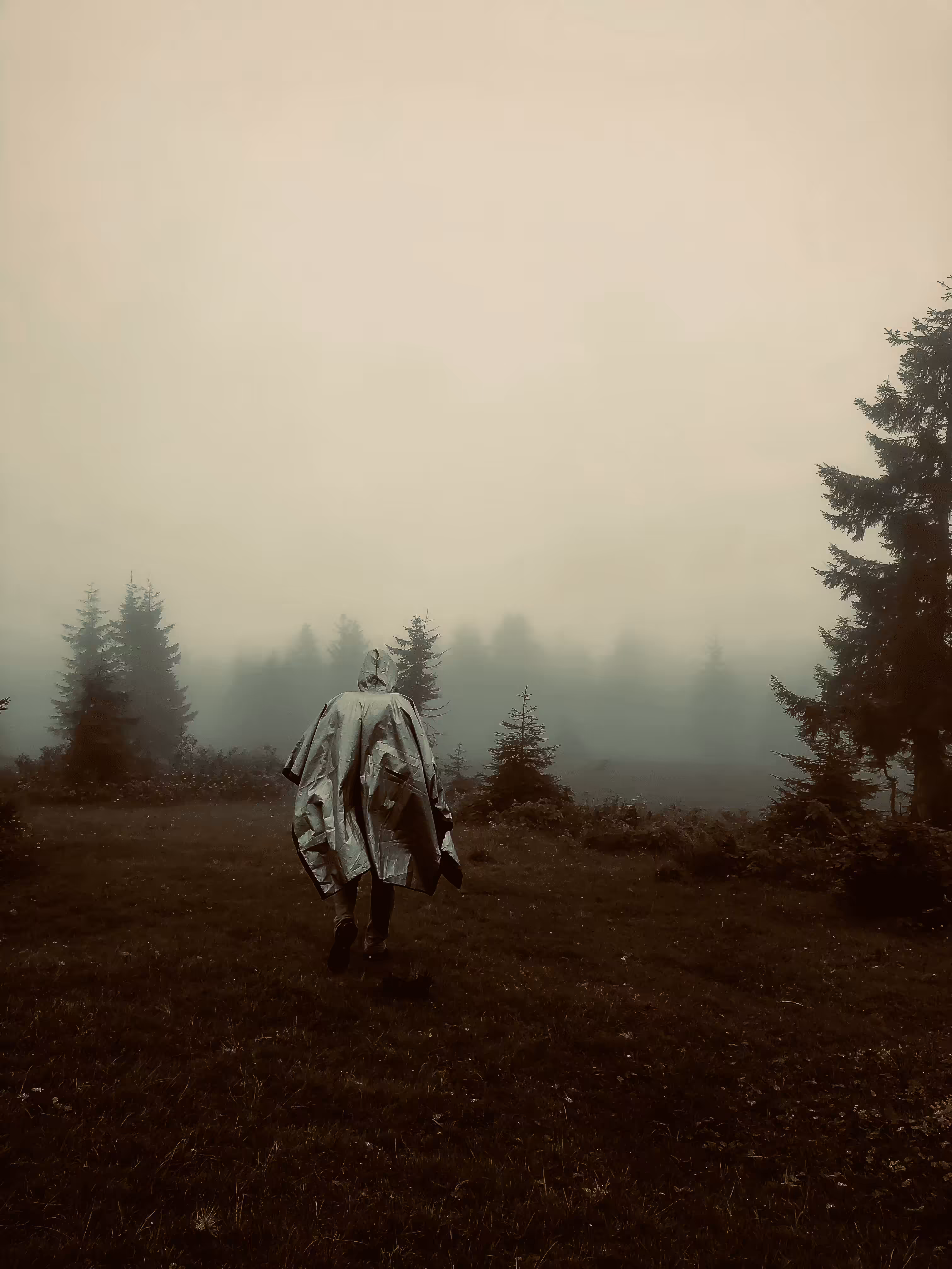 It's Foggy Today