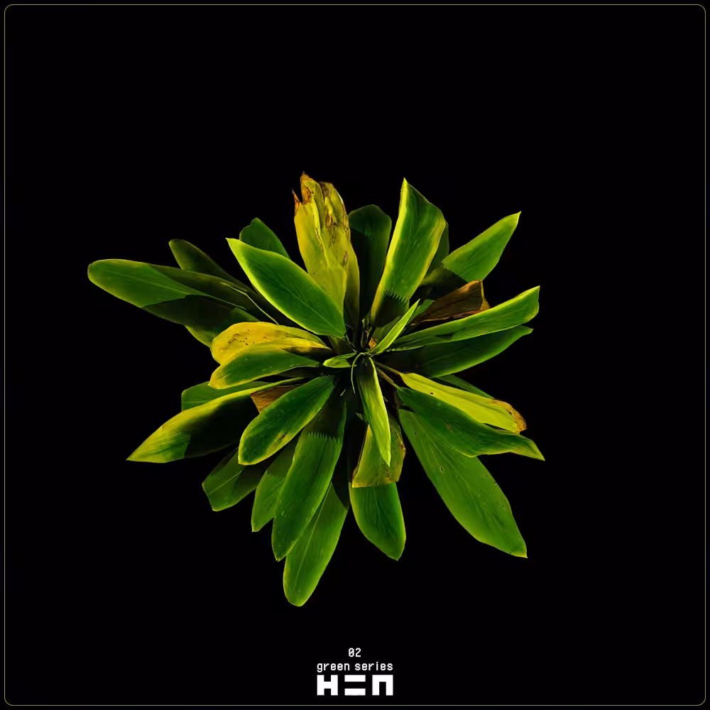 aliass green 02