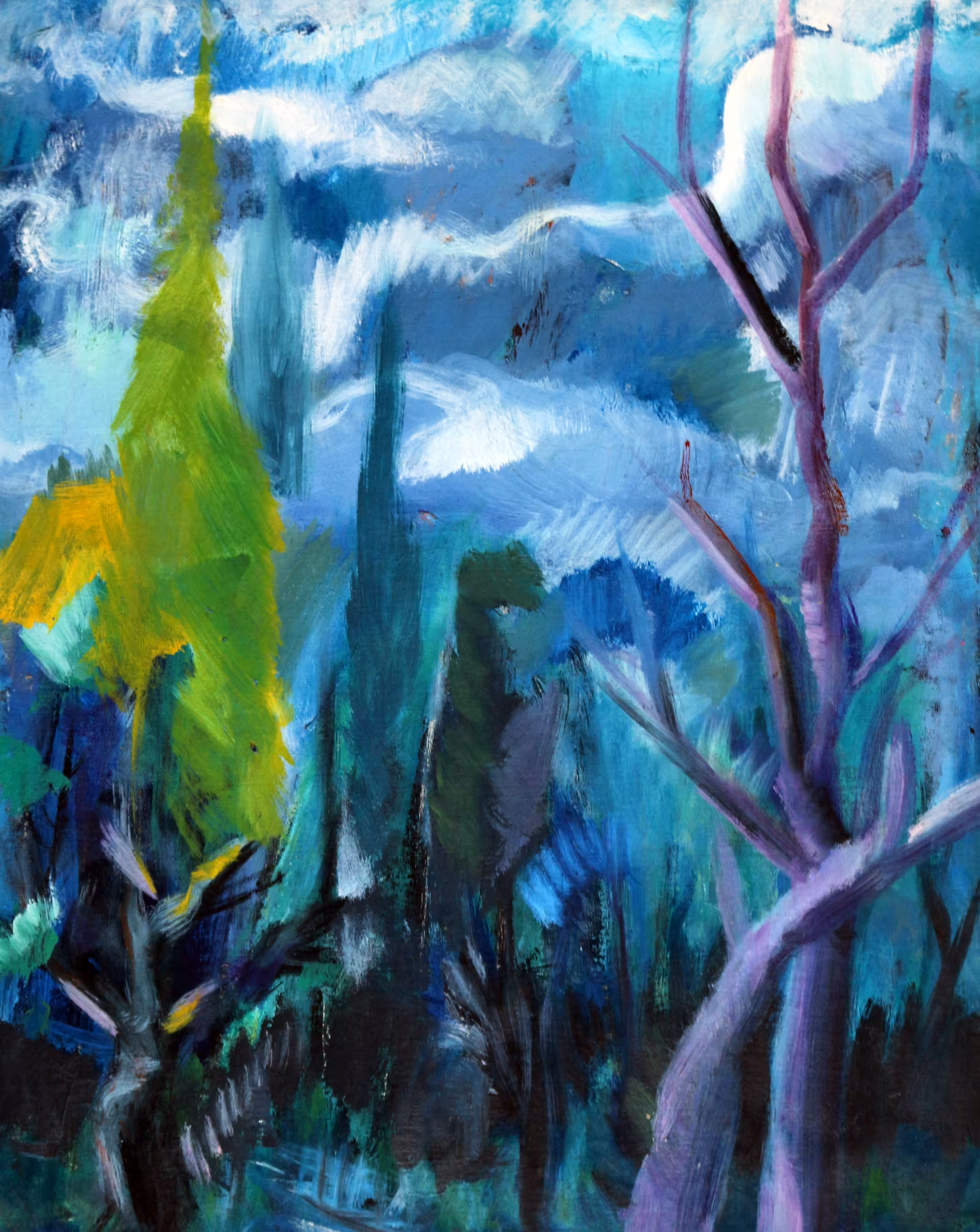 Forest