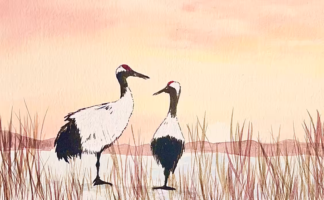 Enchanted Cranes