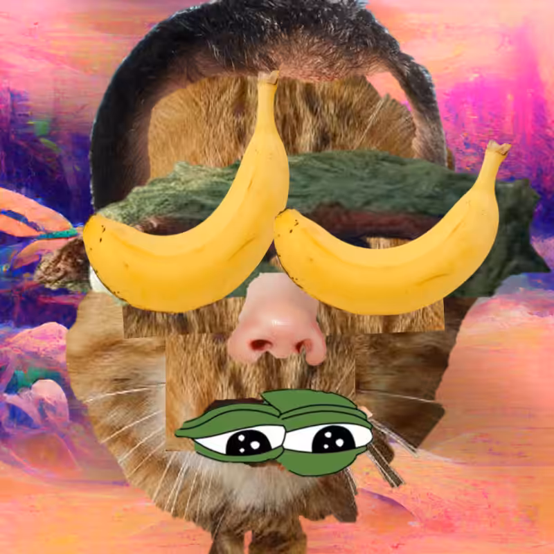 A collage of collages #339