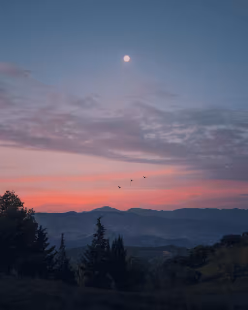 Early morning