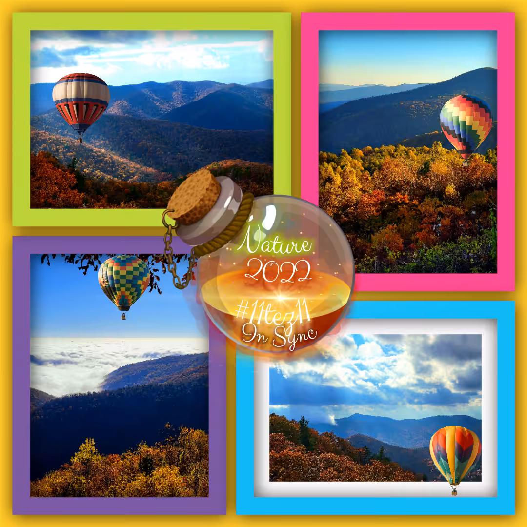 Shenandoah National Park, VIRGINIA, USA