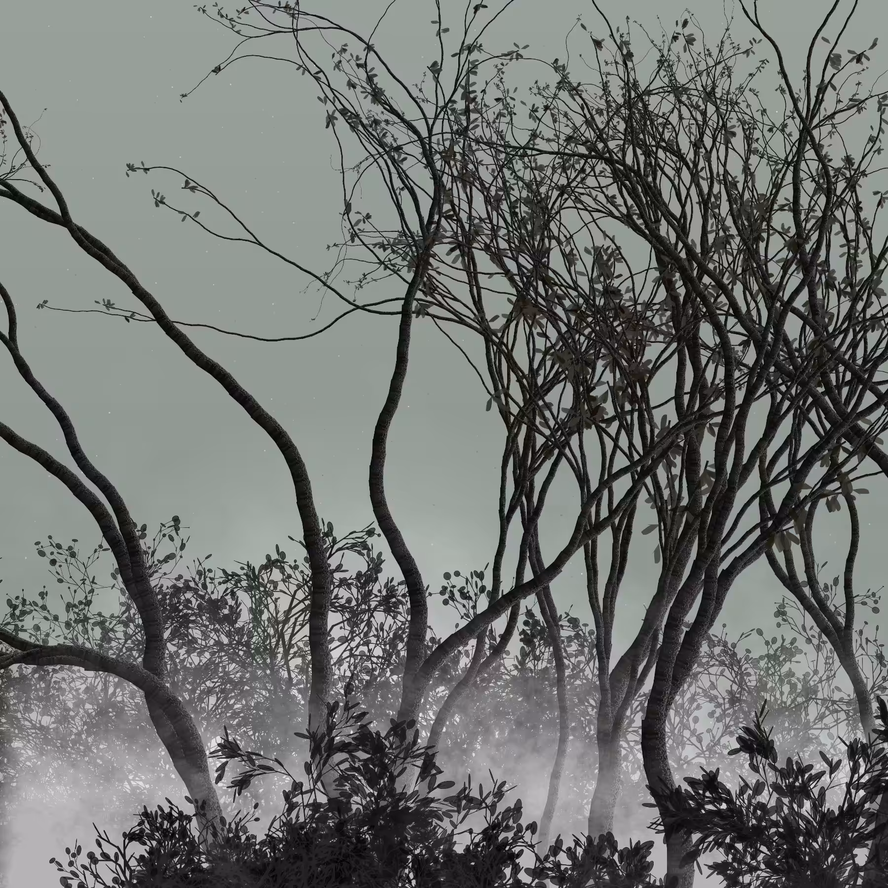 Morning Mist #39