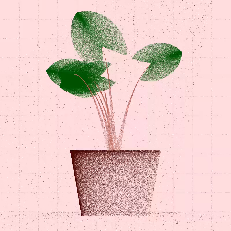 🌱 Potted & Printed #297
