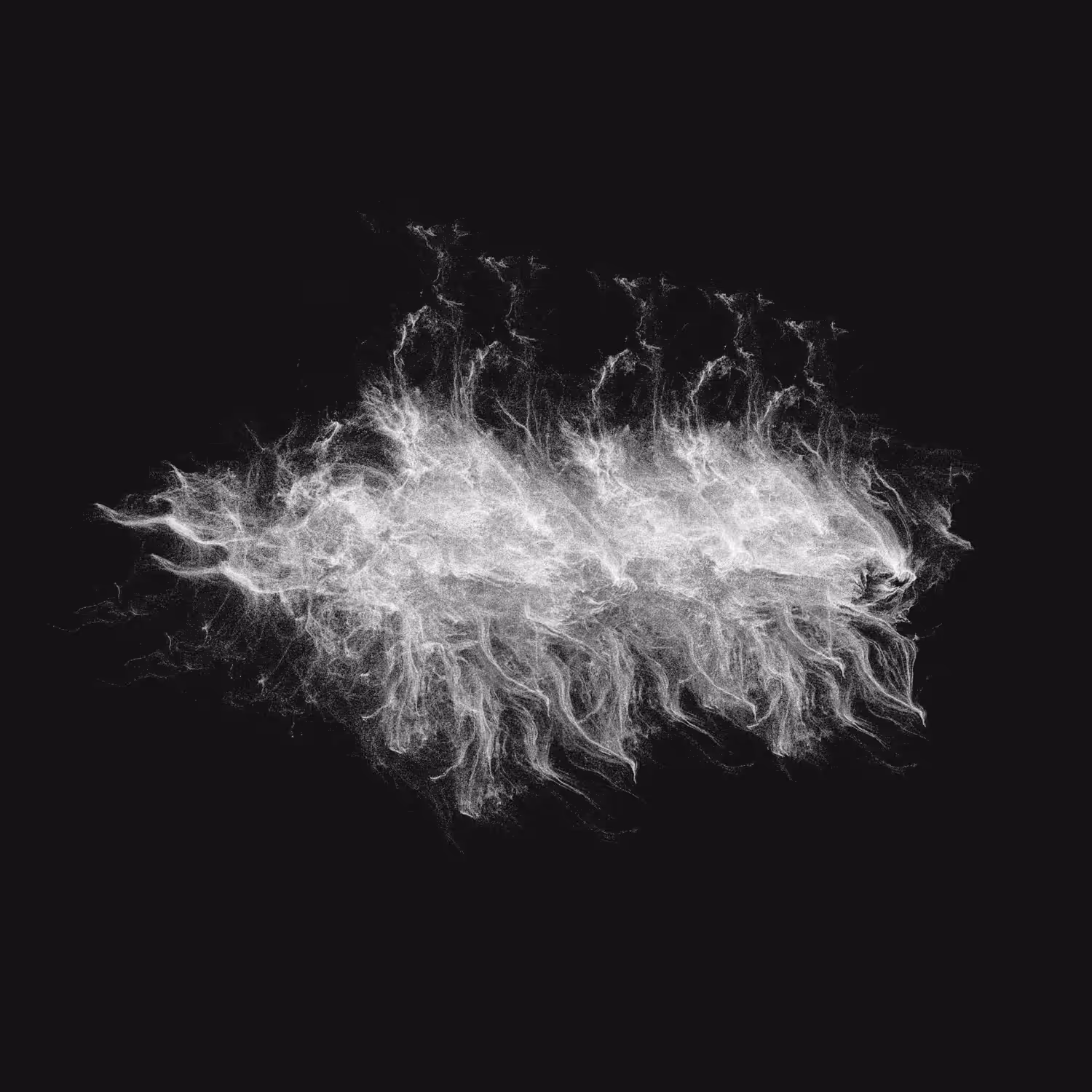Symbiosis