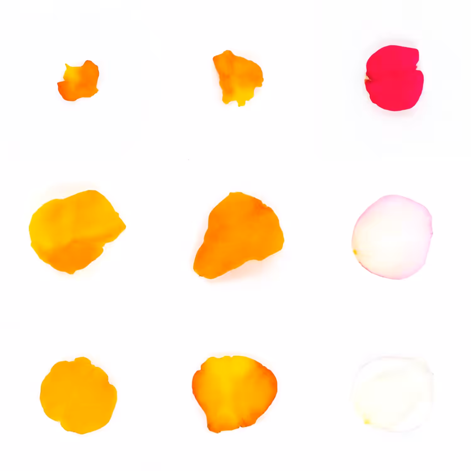 Infinite Petals 3x3#20991