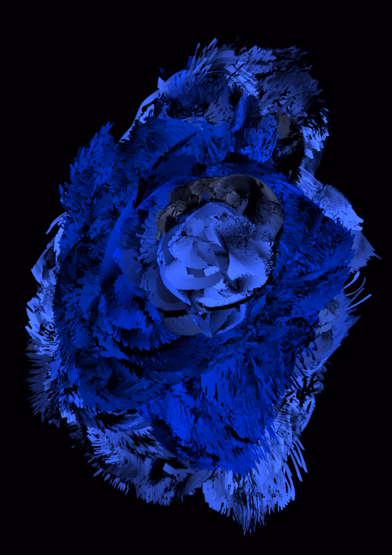 Ocean Flower #1