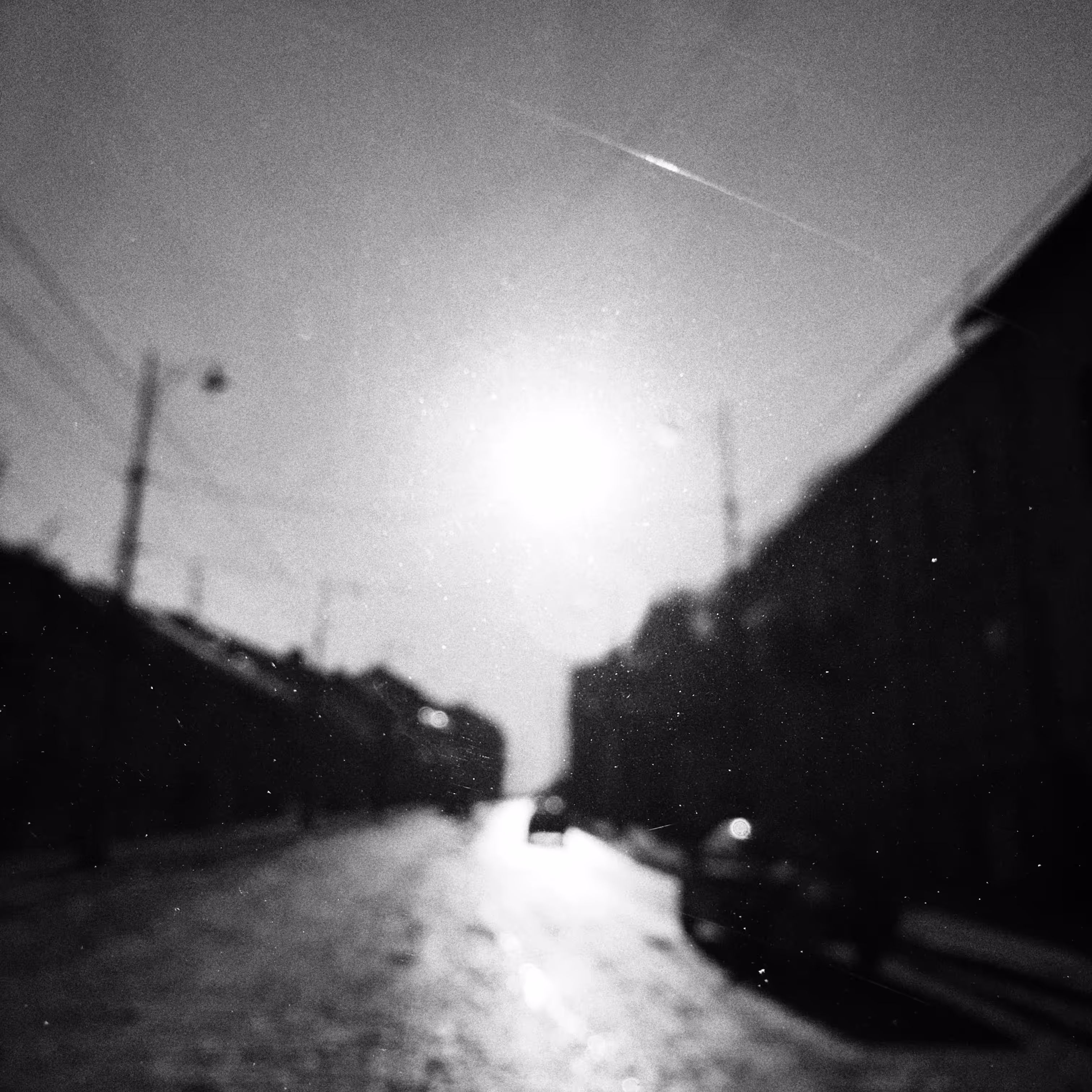 morning out of focus