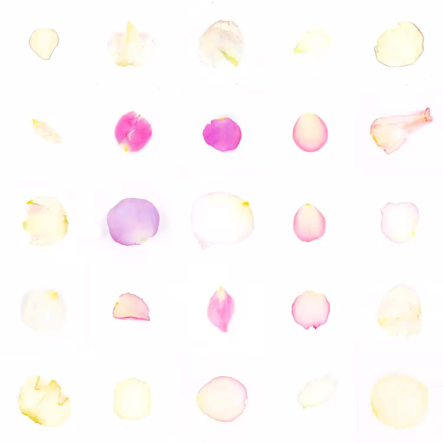 Infinite Petals 5x5#1044