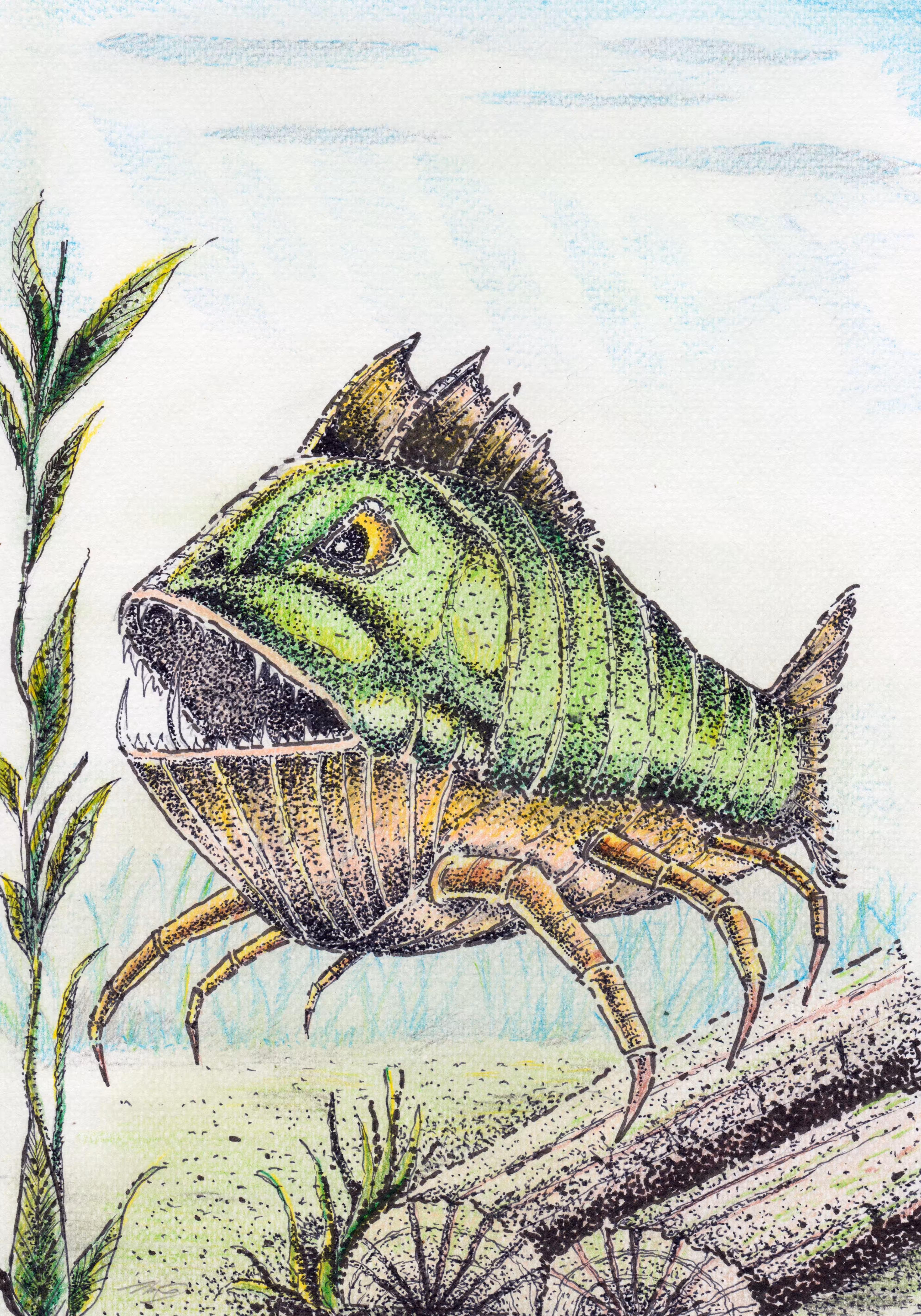 Piranha hunter of the sea