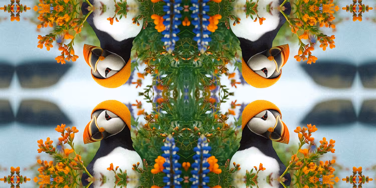 Much Ado About Puffin
