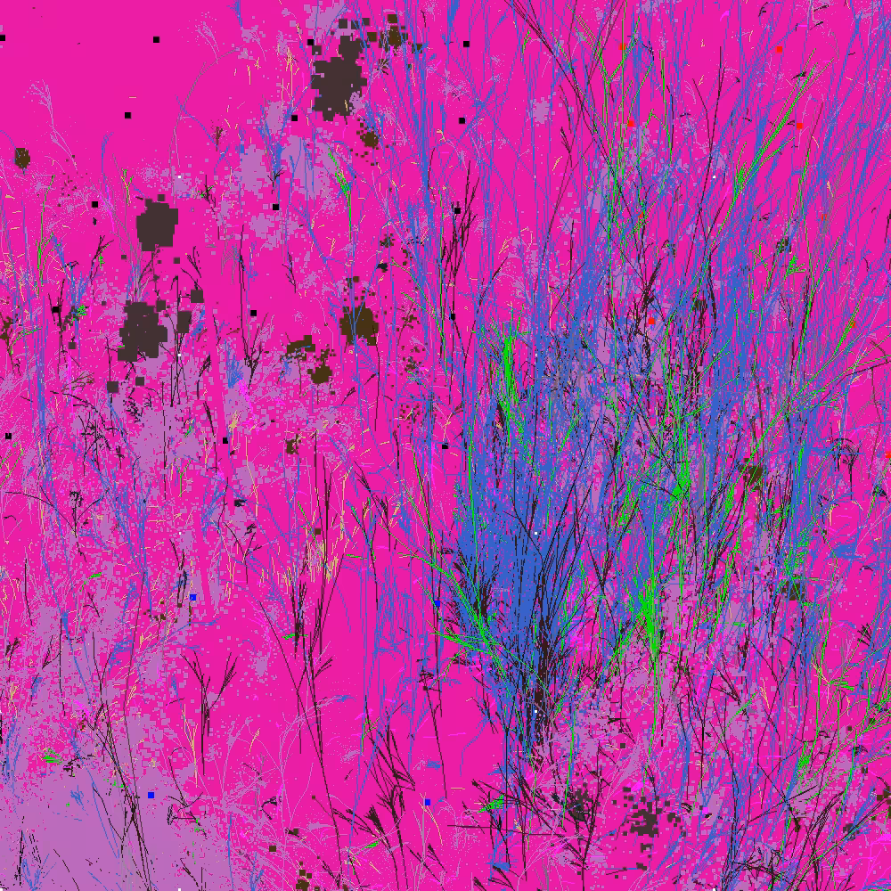 Infinite Garden: 27626 Flowers