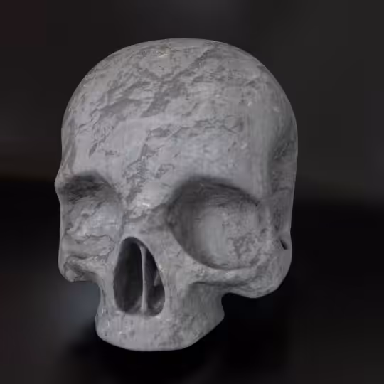 SkullZ #95