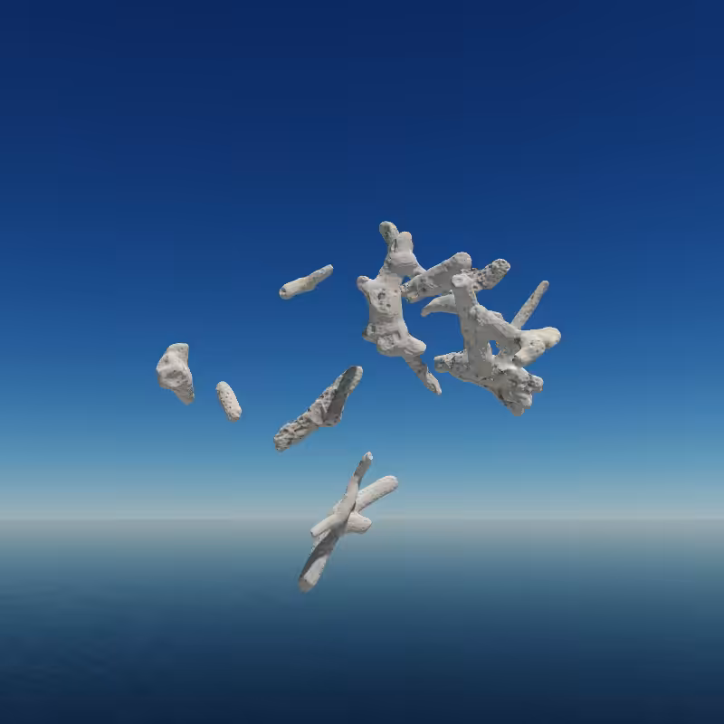 Bone Work (Gulf of Mexico) 2022 #49