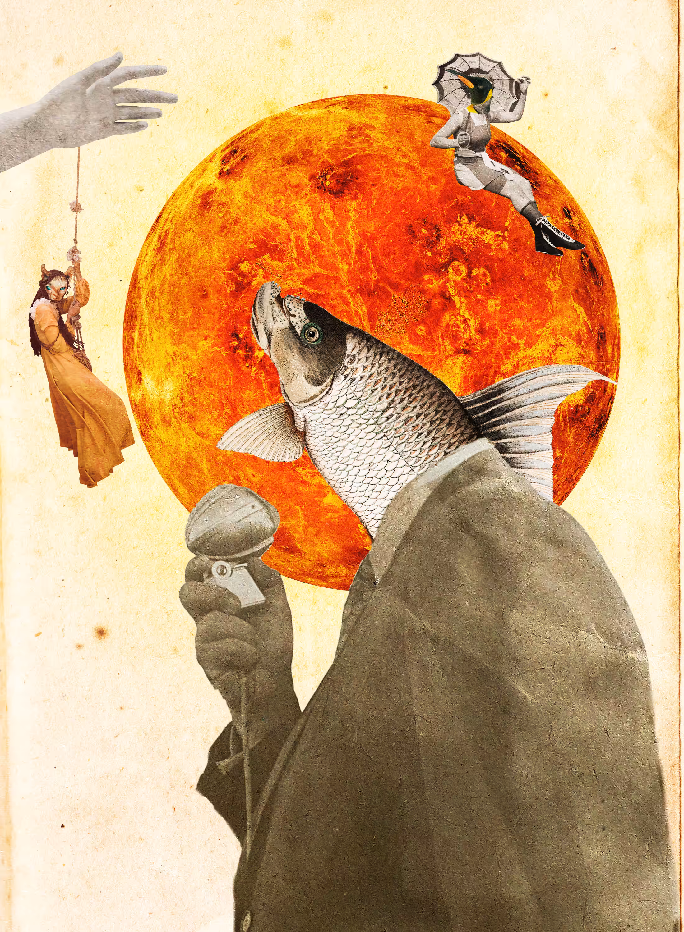 The Fish