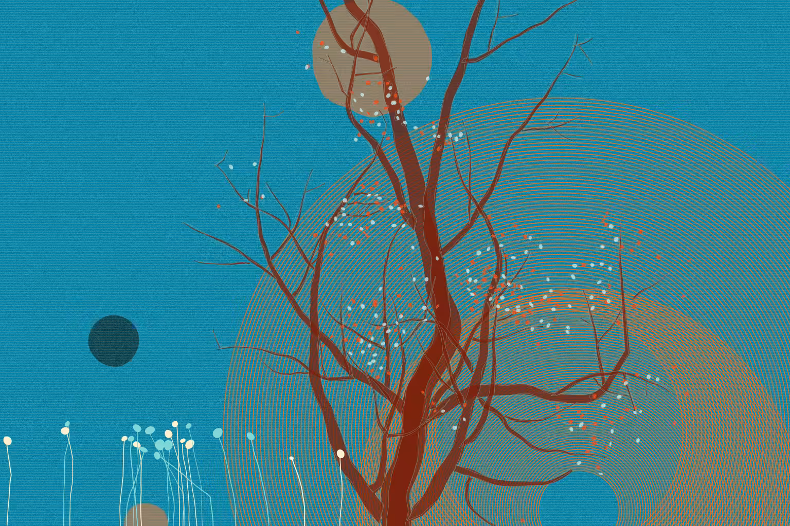 Bidaniel Tree #9